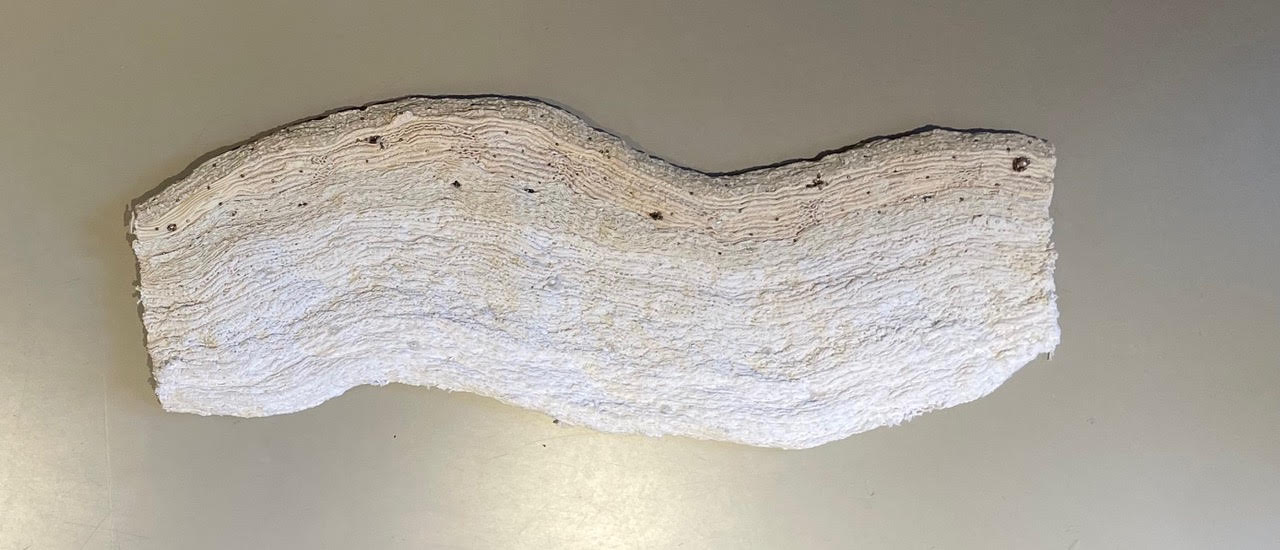 Undercurrent, 2025<br><small>Lace/semedaki fabrics and thread, 120 x 40 cm, €2300</small>